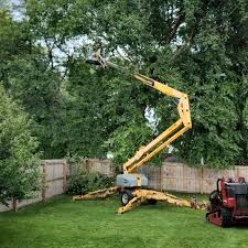 Newell, WV Tree Removal and Landscaping Services Company